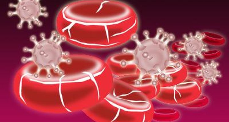 A anemia é uma doença na qual os glóbulos vermelhos do organismo são insuficientes para transportar a quantidade necessária de oxigênio para todo o corpo