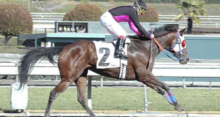 Some horses will show poverty lines when they are at an ideal weight.