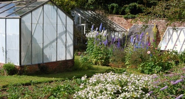 Invernaderos autonomos pueden construirse cerca de un jardín para fácil acceso.