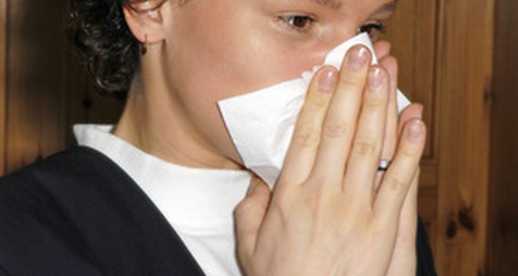 Loratadine is used to prevent hay fever.