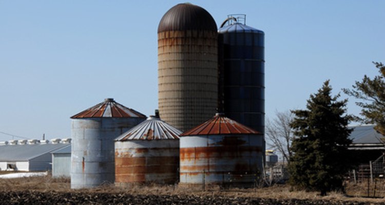 Los cestos y silos son utilizados para almacenar el trigo antes de ser enviado a distintas locaciones.