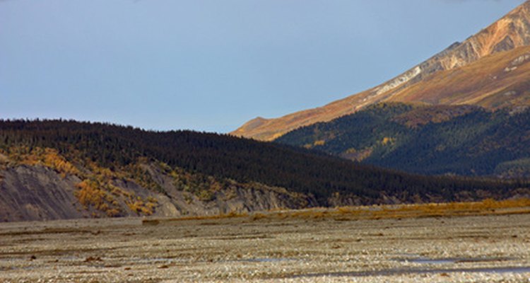 Vista común de la tundra ártica.