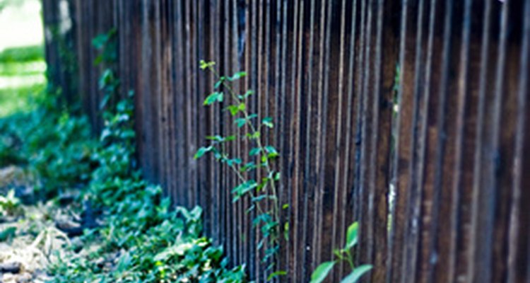 Solid board fence