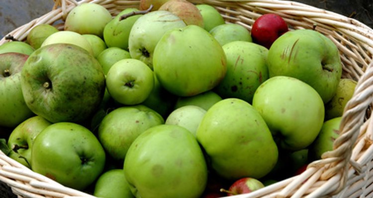 Las manzanas son organismos vivos, igual que nosotros.