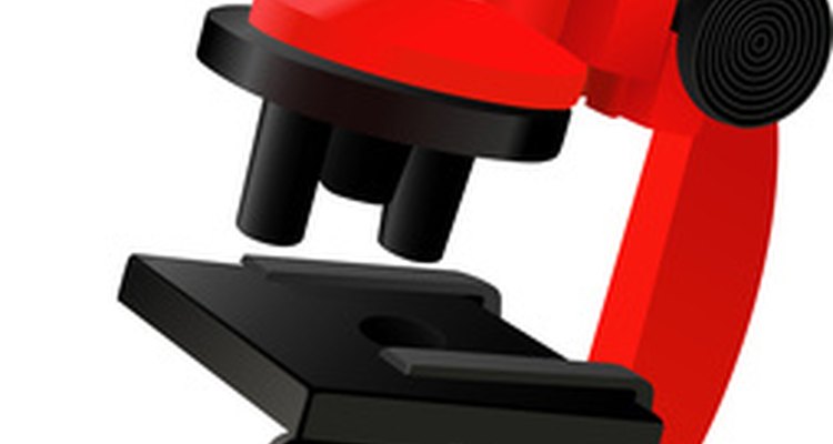 Microscopes need light to produce magnified views of their specimens.