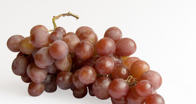 Uvas vermelhas também contêm resveratrol