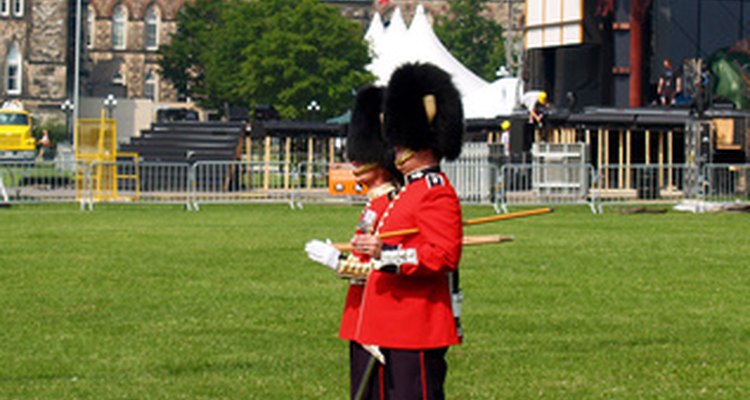 La Guardia Real cuida al rey o a la reina.