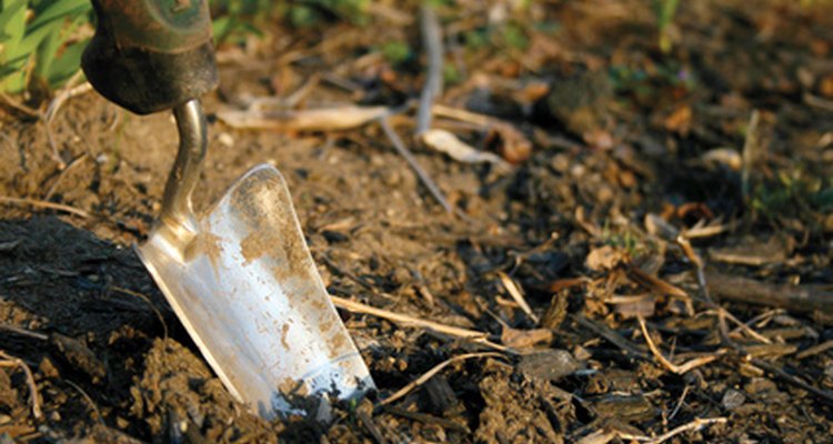 El triturado se puede usar para enriquecer el suelo.