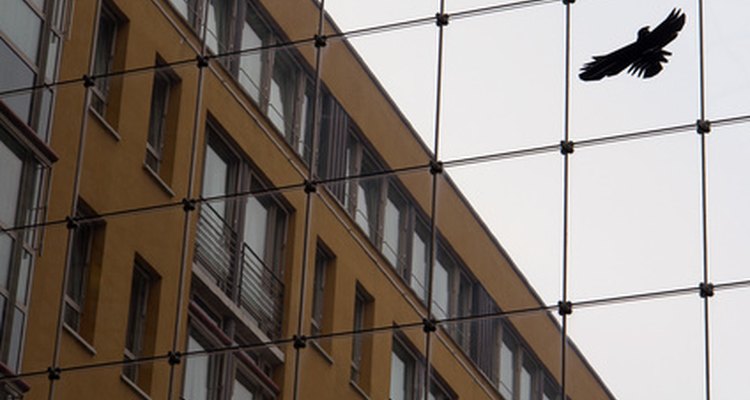 Netting helps to protect buildings.