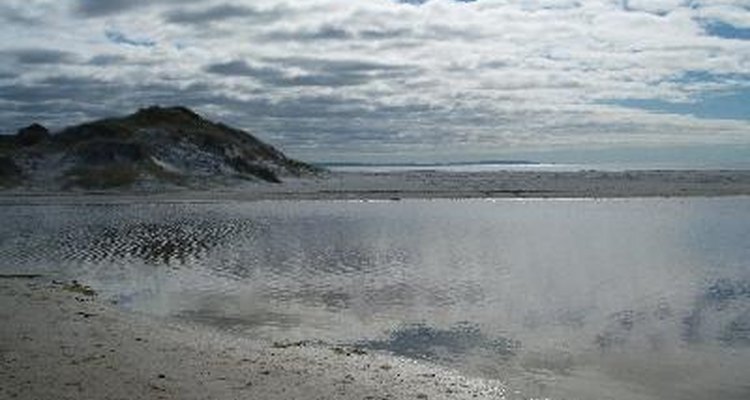 Playa de Nueva Zelanda.