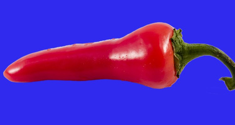 A ripened chipotle pepper