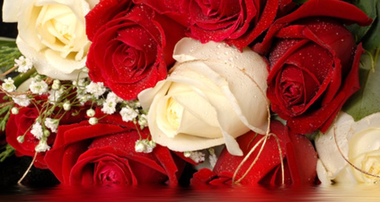 Red and white roses are a common symbol of unity.