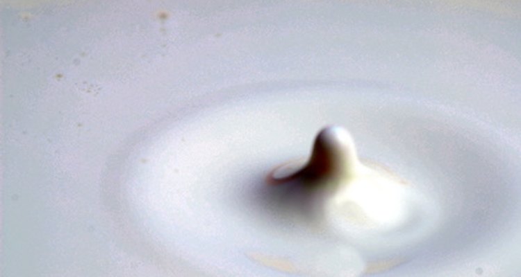 O Zylkene é feito a partir de uma proteína encontrada no leite