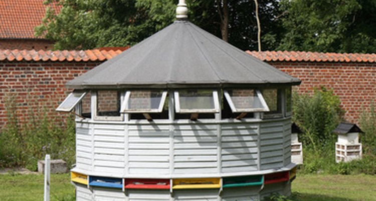 Backyard beehives can be fun!