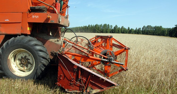 Una cosechadora reduce lo tedioso en el proceso de cosechar trigo.