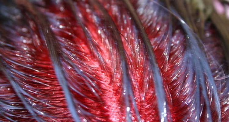 Add colour to your roots first.