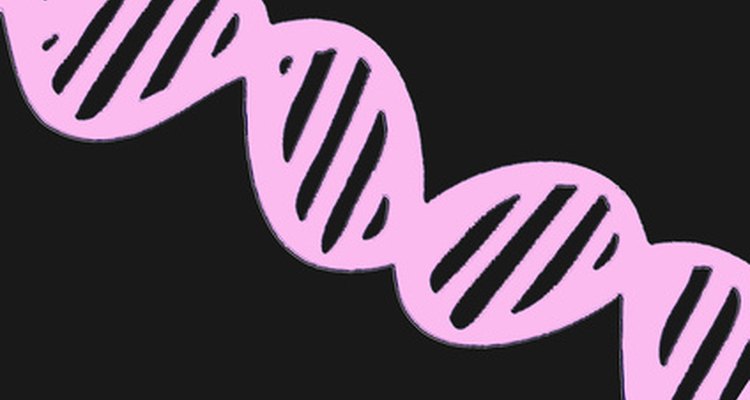 DNA fingerprinting has many pros and cons.