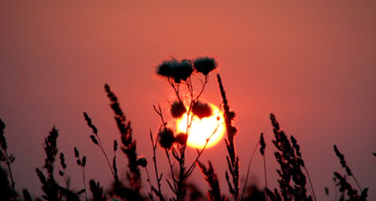 En el solsticio de verano, o solsticio estival, se celebra el día más largo del año.