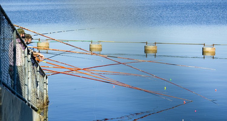 As varas de bambu são uma boa ideia para pescadores iniciantes