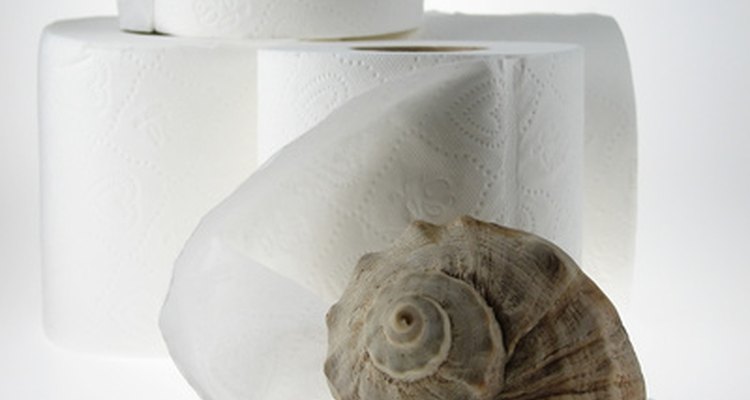 Design a toilet seat that reflects your hobbies or interests.