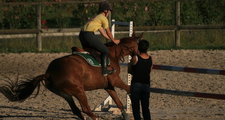 A horse needs well-developed chest muscles to perform consistently.