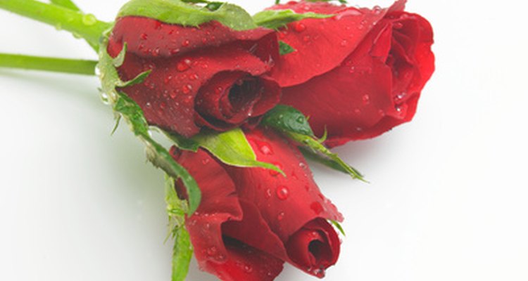Red is a symbol of life in the Chinese culture.