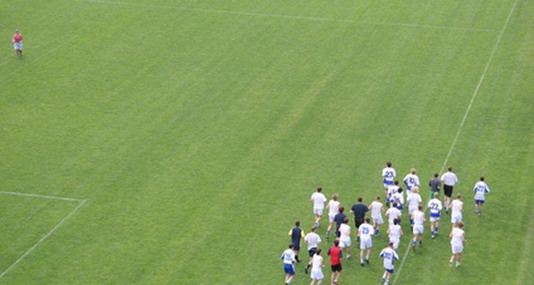 League tables can track sports of any kind