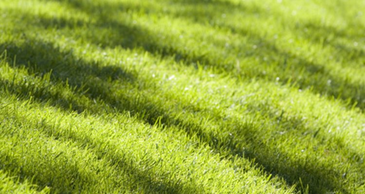 Changing a Rally lawn tractor deck belt can be done in under 30 minutes.