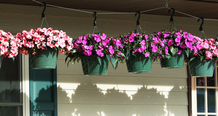 Hanging baskets can be a bother to water.