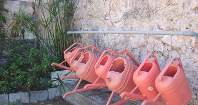 Gardening can be a healthy and fun activity for groups of elderly residents.