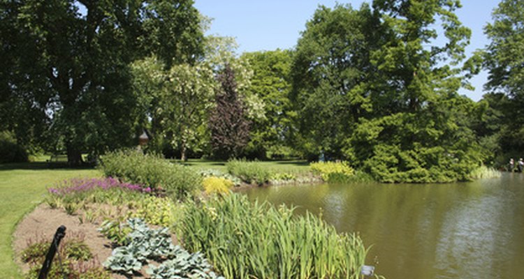 Grant money is available for groups wishing to restore ponds in environmentally damaged areas.