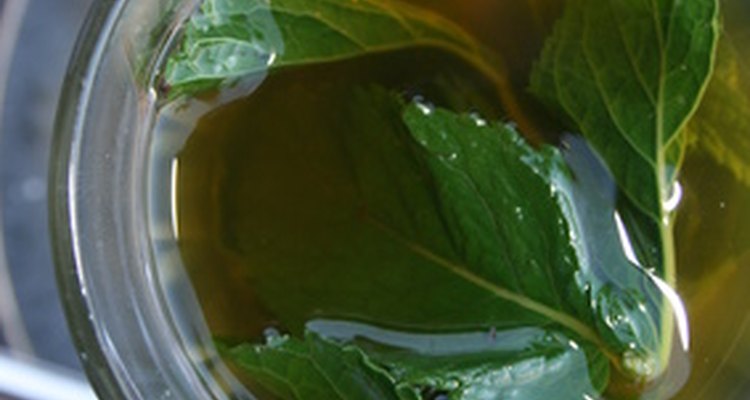 Spearmint also is known as the sage of Bethlehem and is native to Central Europe.