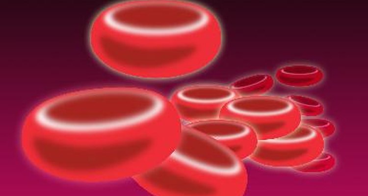 Células do sangue bem oxigenadas são consideradas saudáveis.