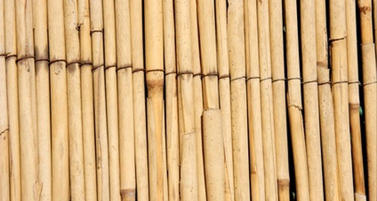 Reed fencing is an economic alternative to bamboo.