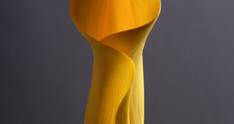 Professional labs can fulfil extraordinary colour and photo detail with precision within dedicated printing facilities.