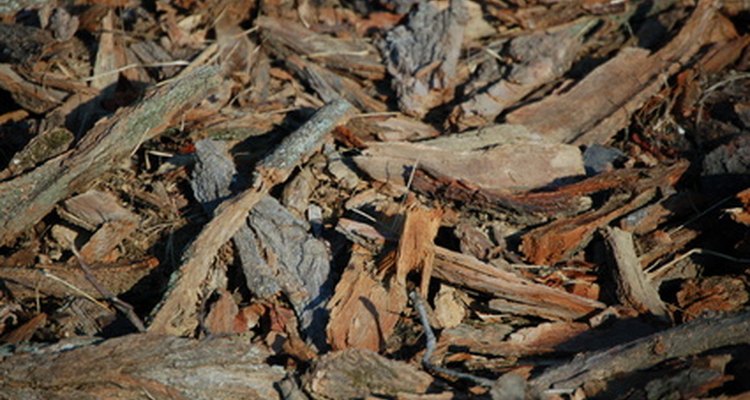 Wood chips give barbecue a unique flavour.