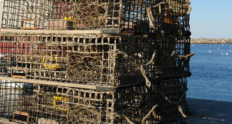 Modern lobster traps are also called pots.