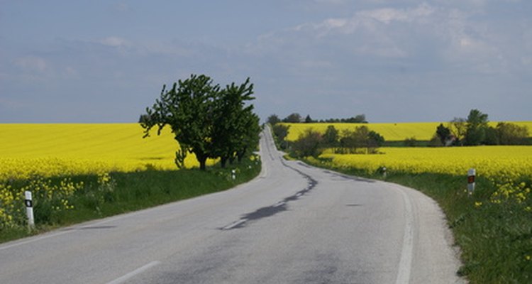 Soft tops allow you to take in local scenery, scents and sunshine.