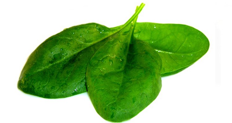 Spinach is one food high in oxalic acid