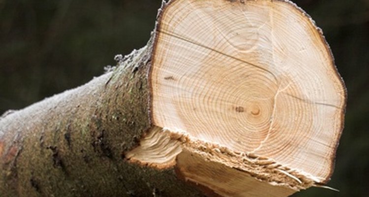 Seizing can result if you don't perform lubrication at least every ten hours of use.