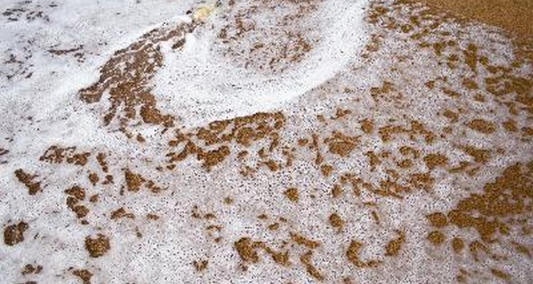 El aceite de silicona también se utiliza para evitar demasiada espuma durante la fermentación de la cerveza.