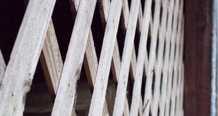 Use trellis fence panels for shade, privacy and growing vines.