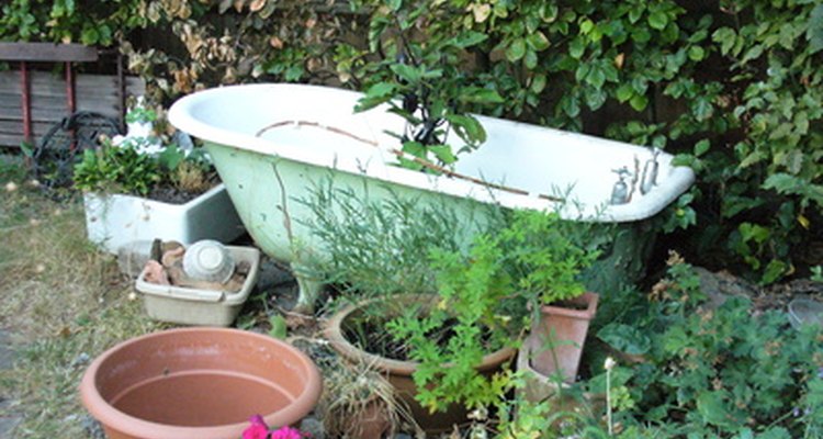 Old bathtubs can make terrific container ponds.