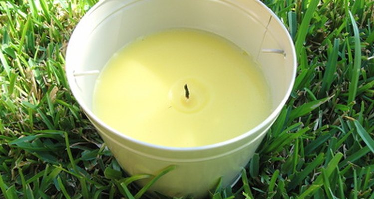 Citronella oil is found in candles and other insect-repelling products.