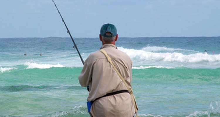 Con la correcta caña, la pesca desde la costa puede ser gratificante.