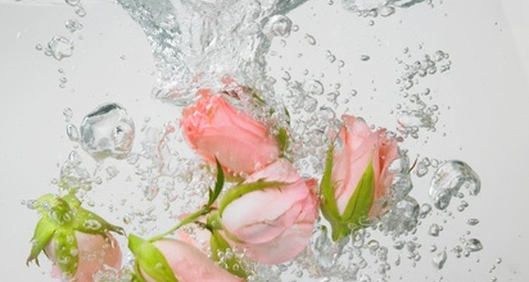 Las rosas mantienen su forma bajo el agua.