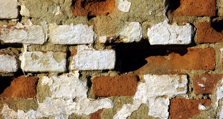 Gaps between bricks provide protection for bee colonies.