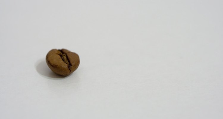 Recoge tus propios granos de café.