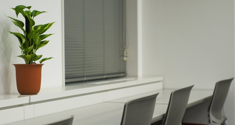 Ciertas plantas pueden crecer sin ningún problema en áreas de la oficina con poca iluminación.