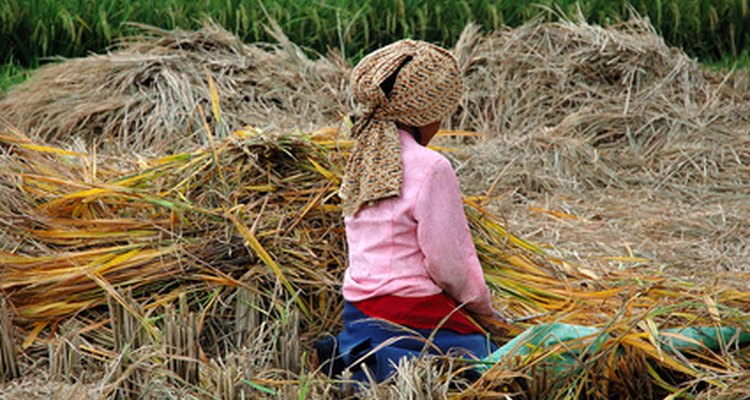 Fair trade especially benefits farmers working in impoverished countries.